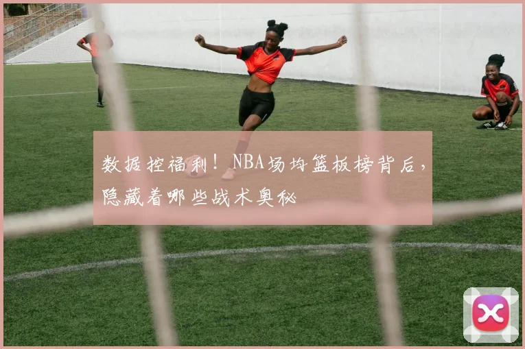 数据控福利!NBA场均篮板榜背后,隐藏着哪些战术奥秘