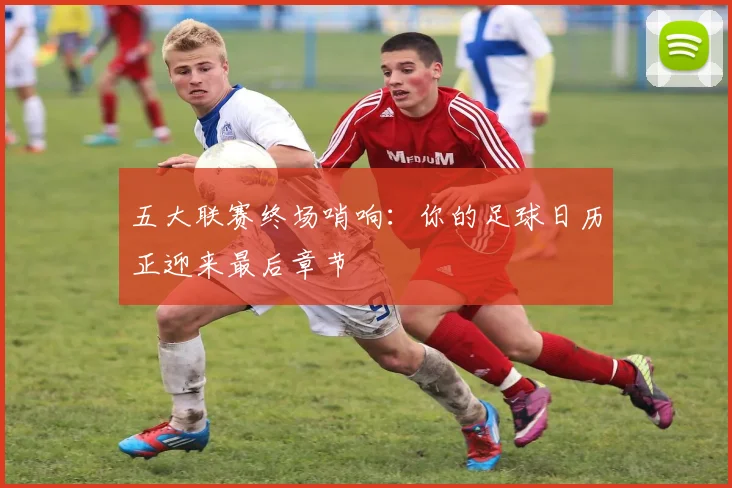 五大联赛终场哨响：你的足球日历正迎来最后章节