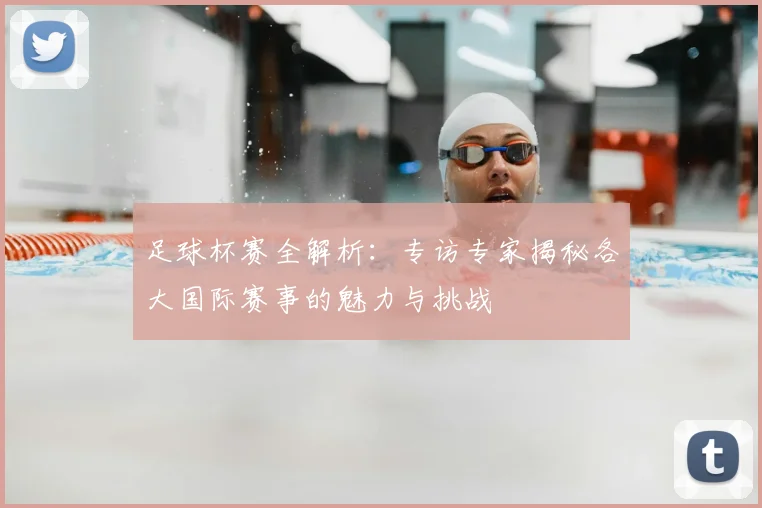 足球杯赛全解析：专访专家揭秘各大国际赛事的魅力与挑战